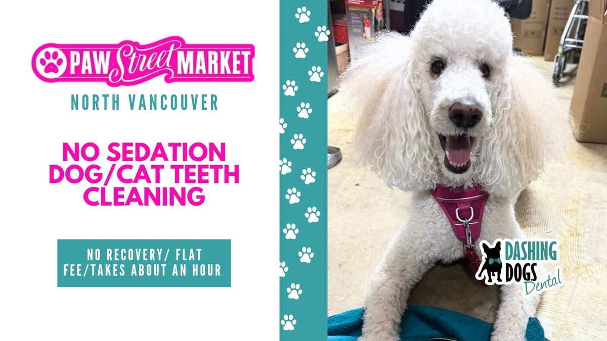 Pet Teeth Cleaning Event - North Vancouver