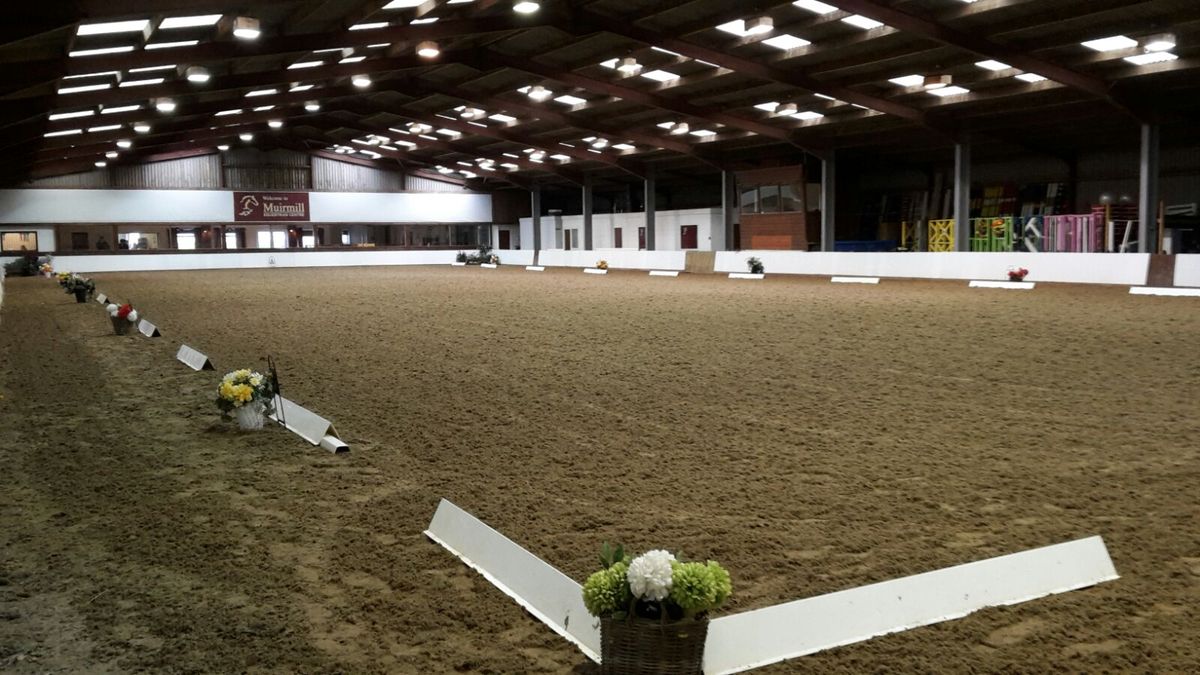 LAST CHANCE  Winter Kinkell Dressage Qualifier - Unaff