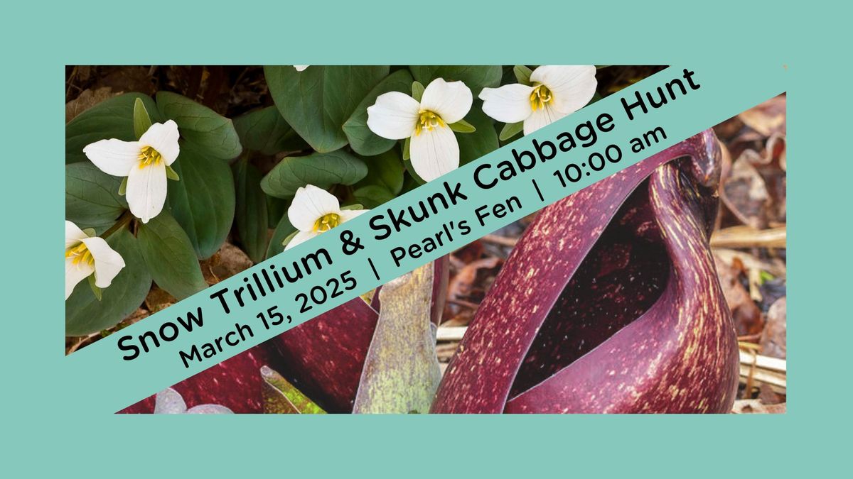 Snow Trillium & Skunk Cabbage Hunt