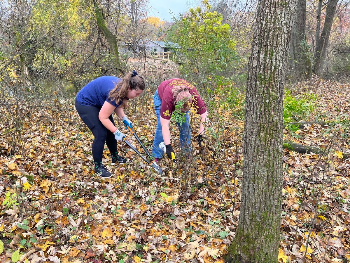 Weekday Work Session @ Mill Pond Natural Area