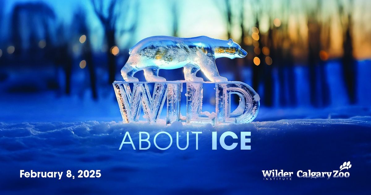 Wild About Ice