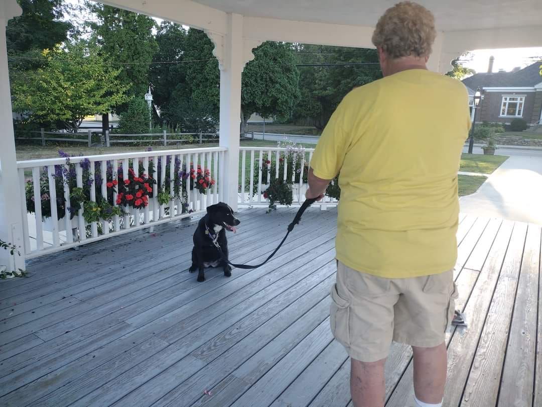 AKC Canine Good Citizen (CGC) Prep Program