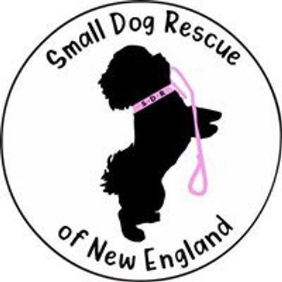 Small Dog Rescue of New England