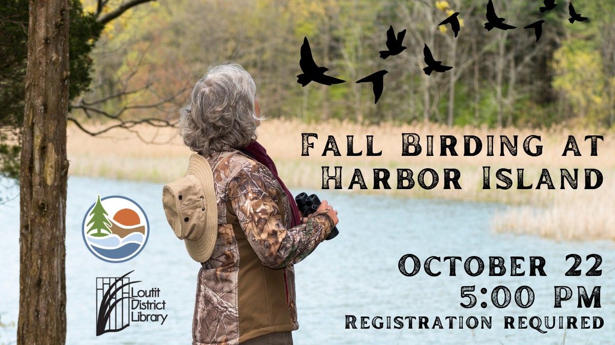 Fall Birding at Harbor Island