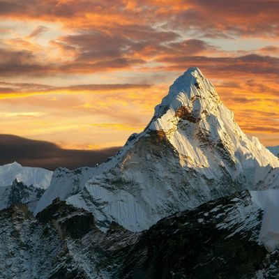 9460 PROPERTIES CORP