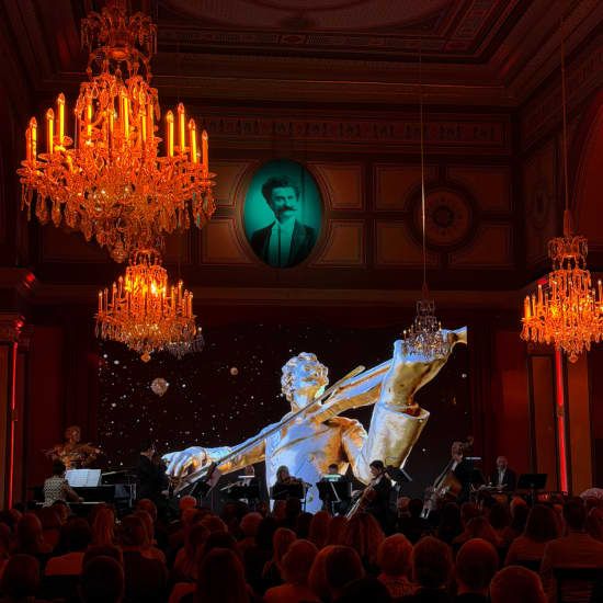 House of Strauss: Classics of Austria \u2013 Leading Classical Concert Vienna