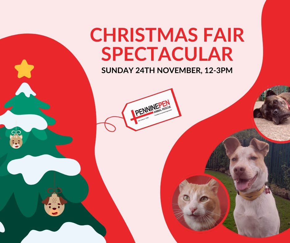 Christmas Fair Spectacular 