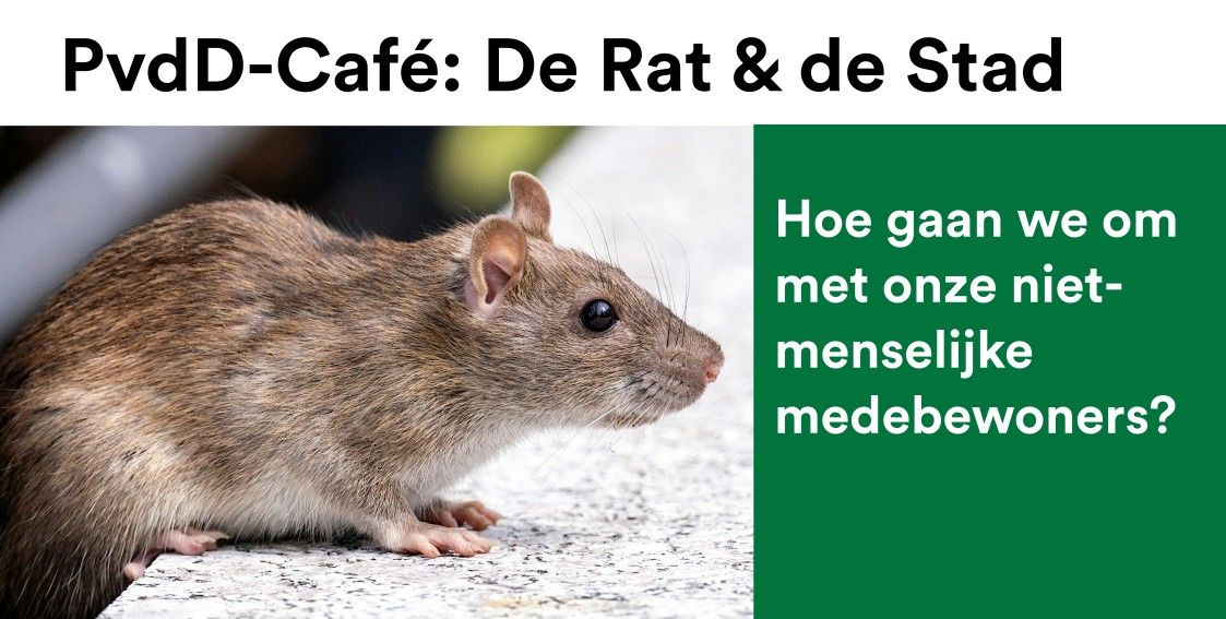 PvdD-Caf\u00e9: De Rat & de Stad