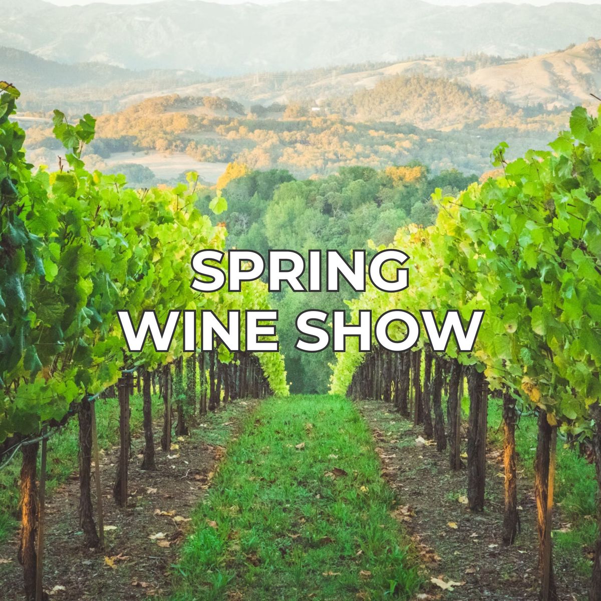 Spring Wine Show 2024
