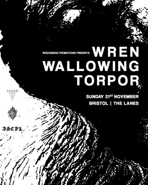 Torpor | Wallowing | Row of Ashes - The Lanes