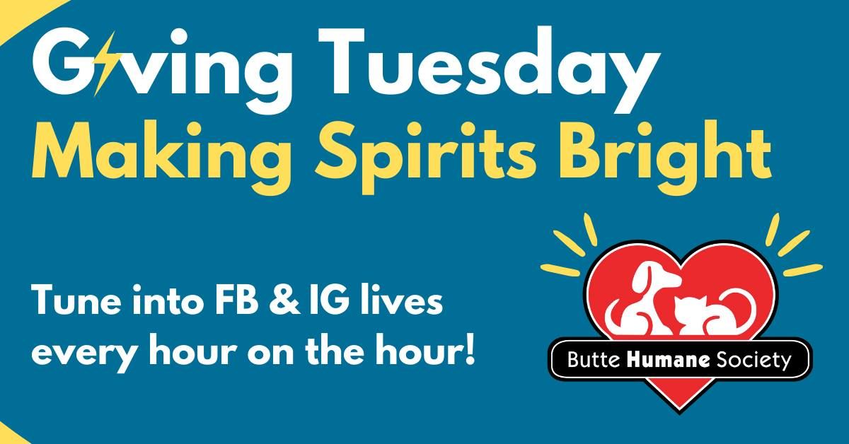 Giving Tuesday - Butte Humane Society