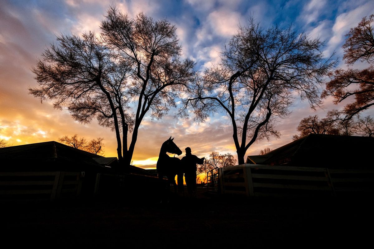 Keeneland January Horses of All Ages Sale