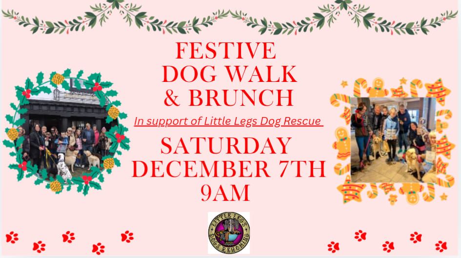 Festive Dog Walk & Brunch In Support Of Little Legs Dogs Rescue \ud83c\udf84\ud83d\udc3e