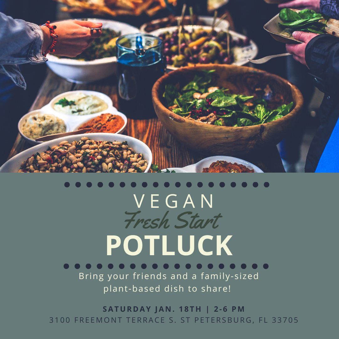 Vegan Potluck