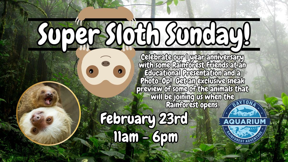 Super Sloth Sunday!