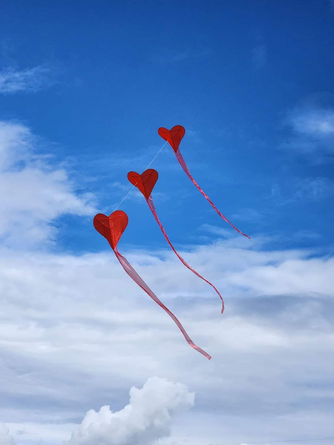 One Sky, One World Kite Fly