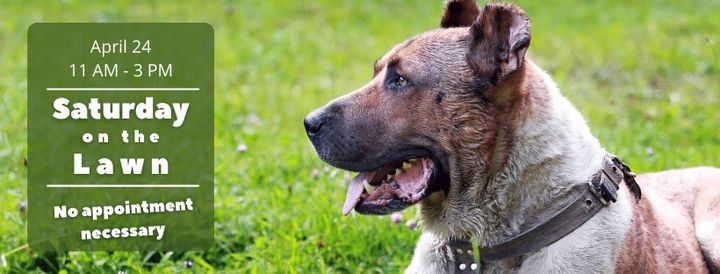 Saturday On The Lawn Animal Welfare League Of Charlotte County Port Charlotte 29 May 2021