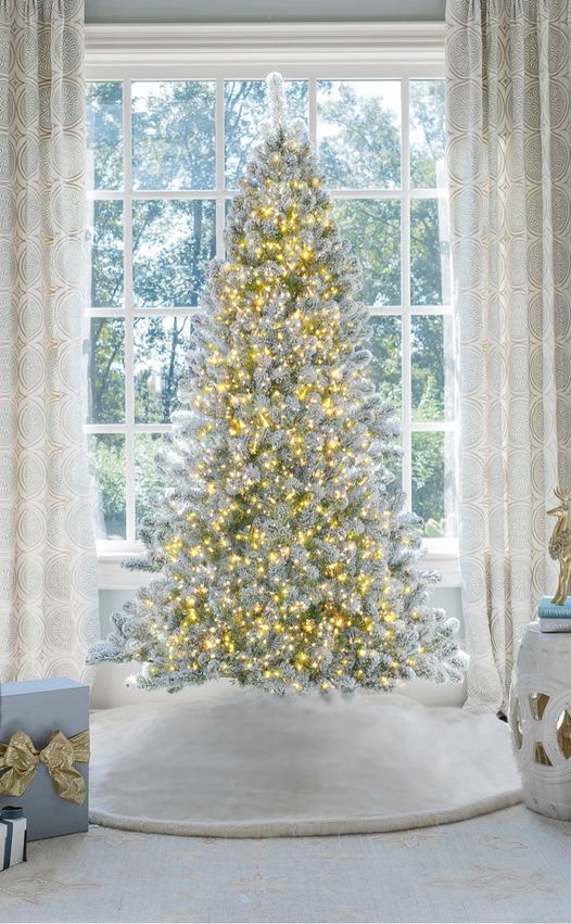 Punta Gorda Christmas Tree Lighting 2022 Friends Of Hammer And Stain Ceramic Christmas Tree Party, Hammer & Stain Punta  Gorda, Fl, 19 November 2021