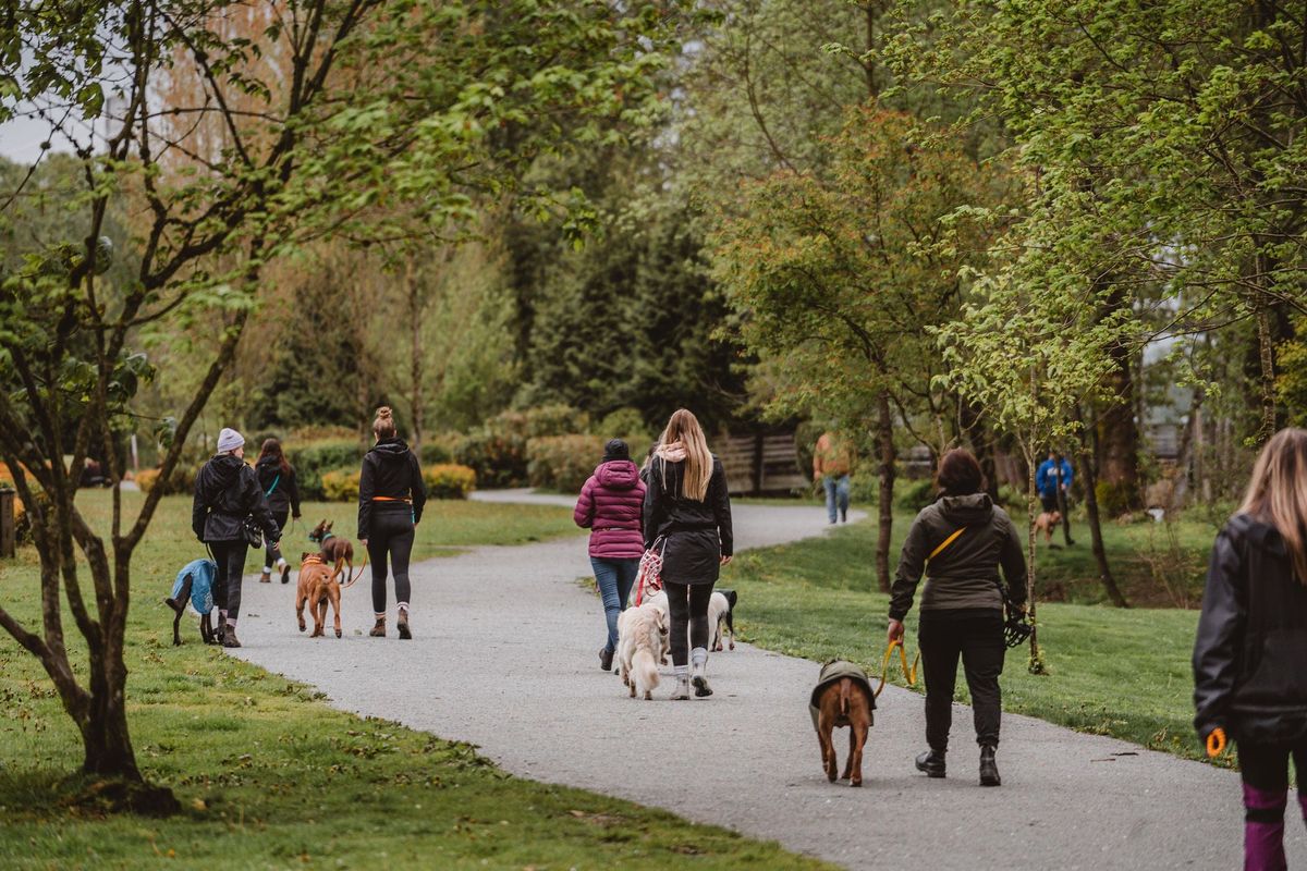 Leash Walking Workshop