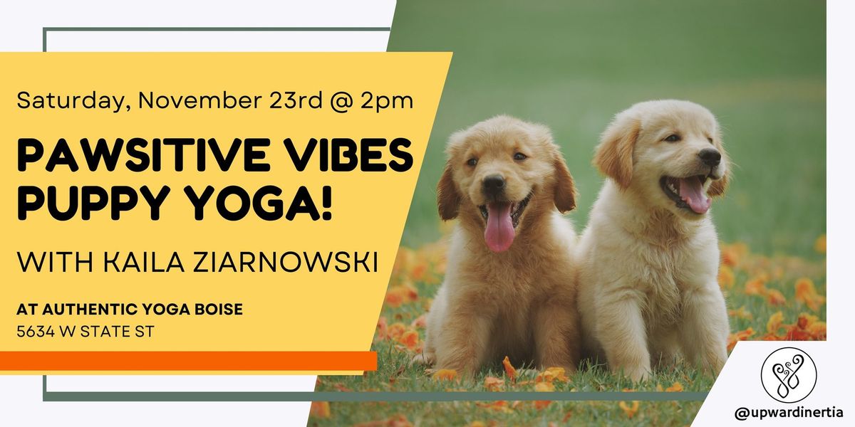 Pawsitive Vibes: Puppy Yoga in Boise