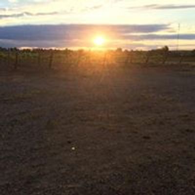 Sol Invictus Vineyard