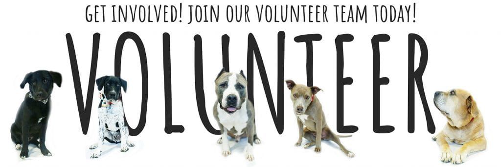 Volunteers Needed!!!!!