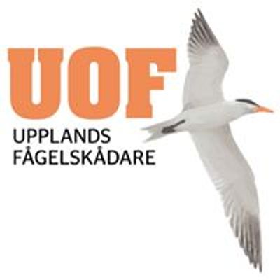 UOF Upplands F\u00e5gelsk\u00e5dare