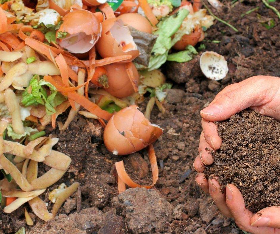 Wild Bunch Gathering - Healthy soil and composting at home