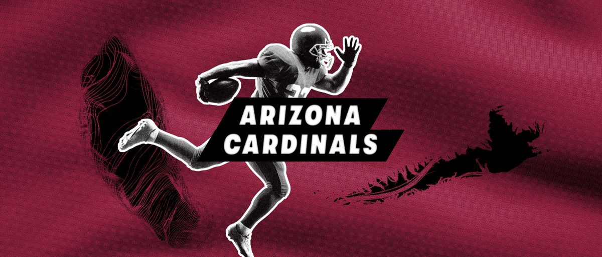 NFC Divisional Home Game: Arizona Cardinals vs. TBD (Date: TBD - If Necessary)