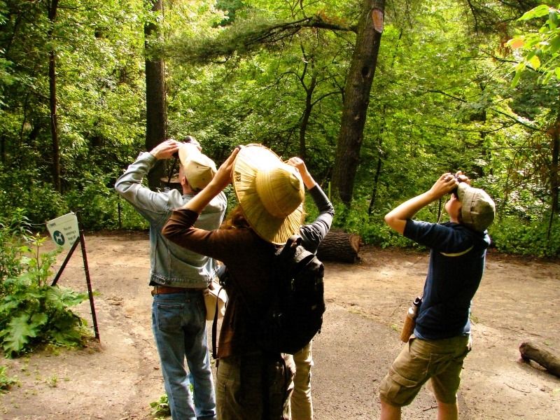 Spanish Nature Walk in High Park