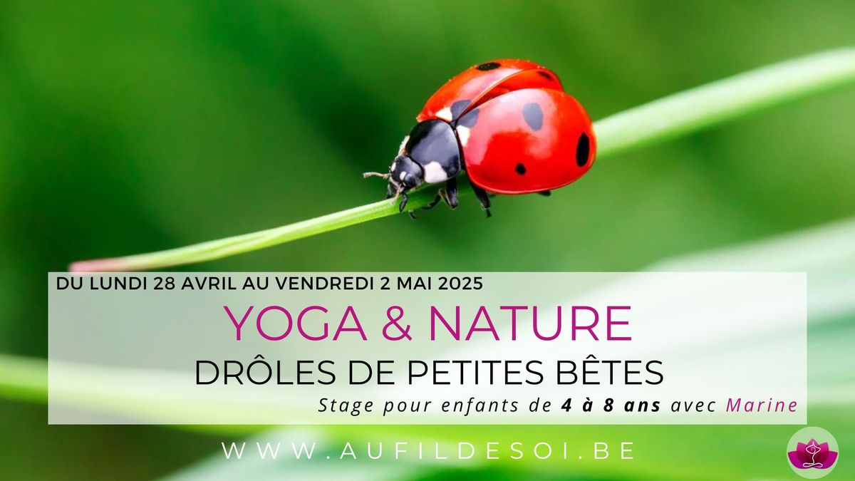 Stage enfants - Nature et Yoga : Dr\u00f4les de petites B\u00eates