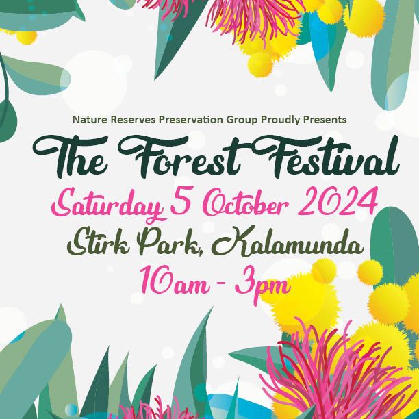 Forest Festival