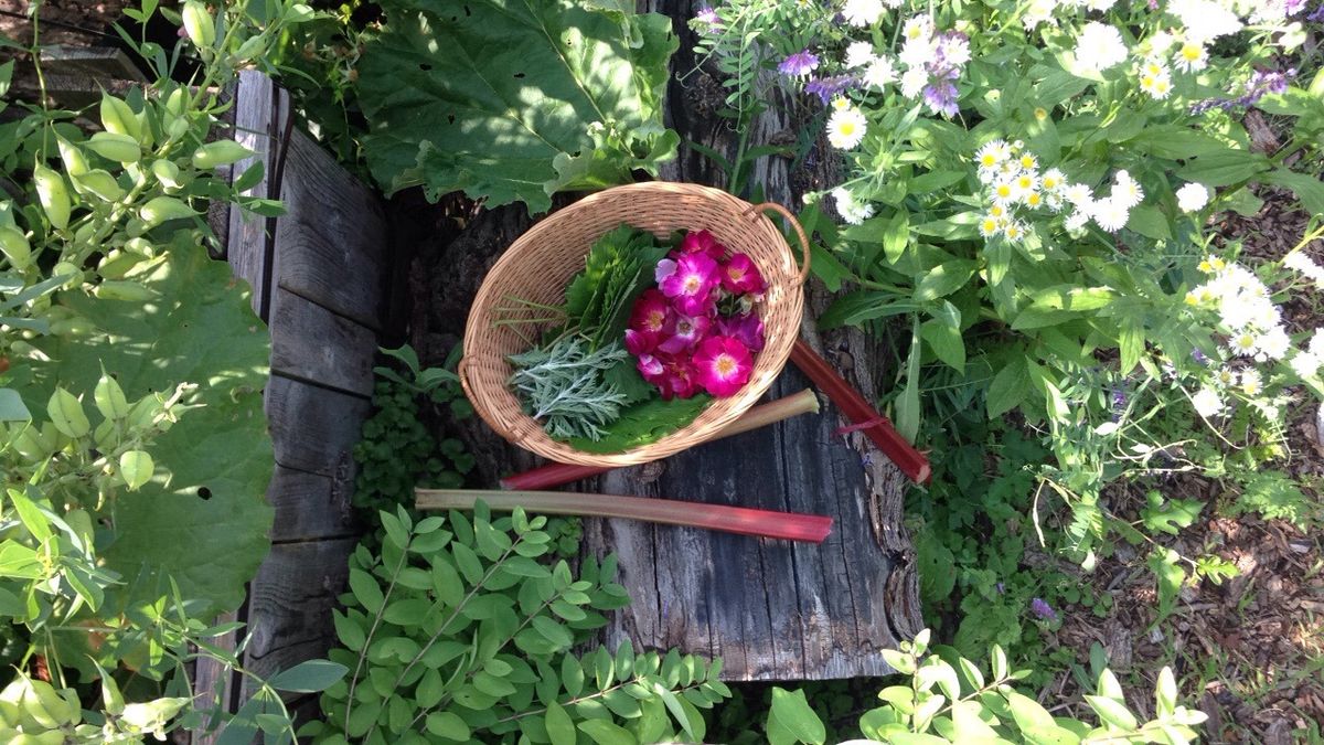 Urban Foraging with Nina Lawrin