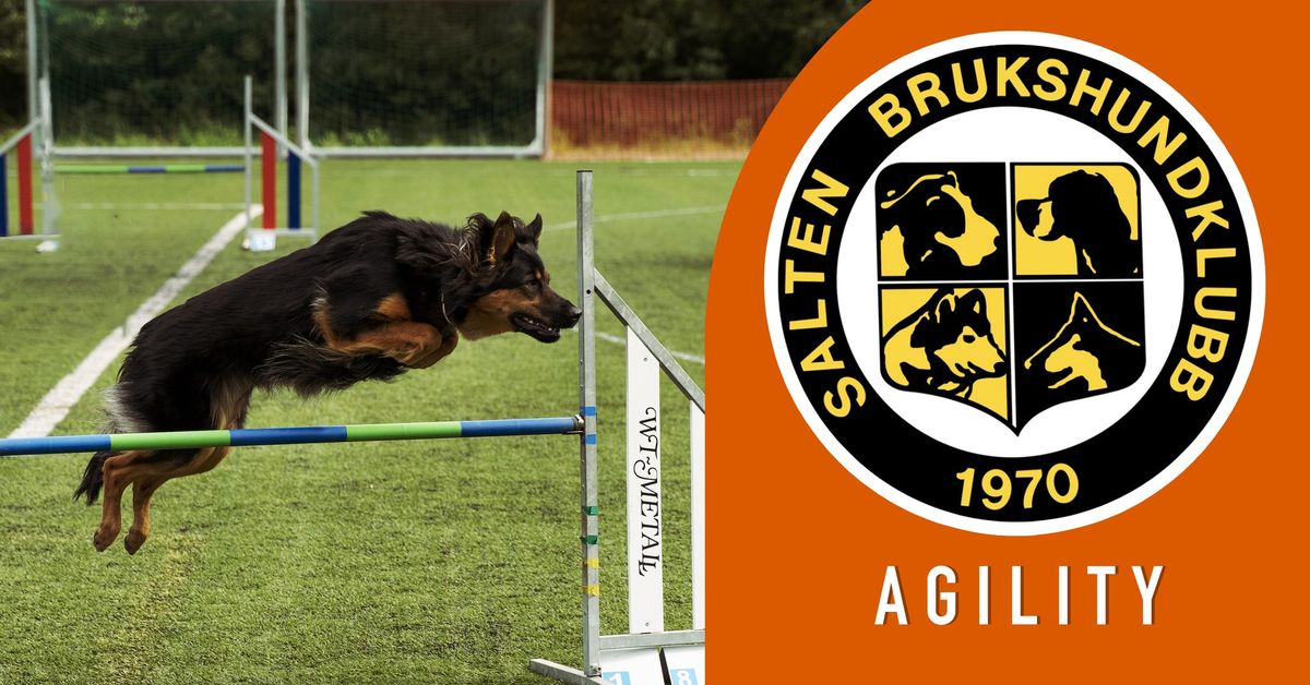 Sommerstevne Agility 28.-29. juni