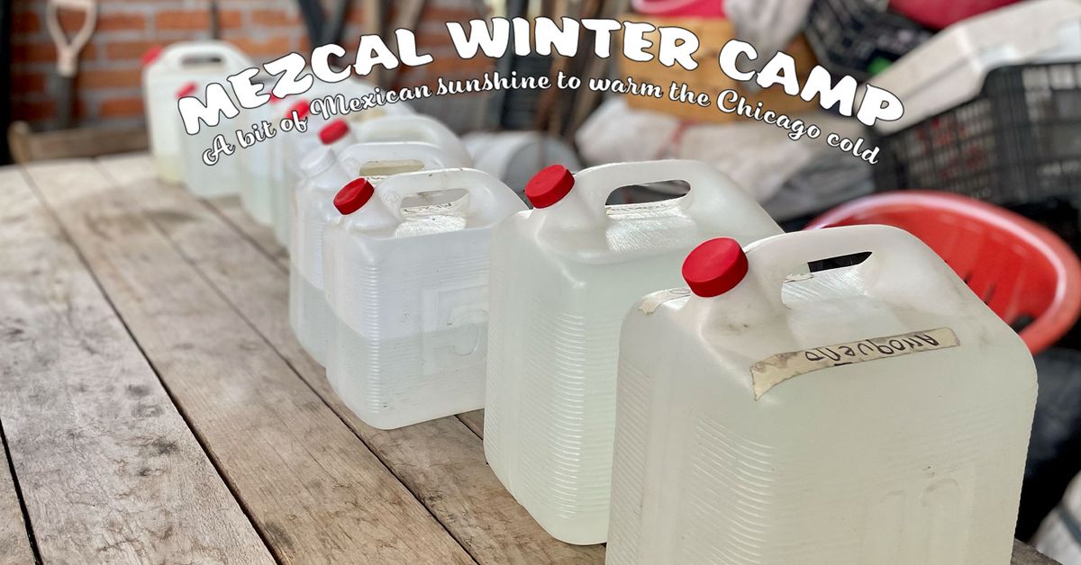 Mezcal Winter Camp