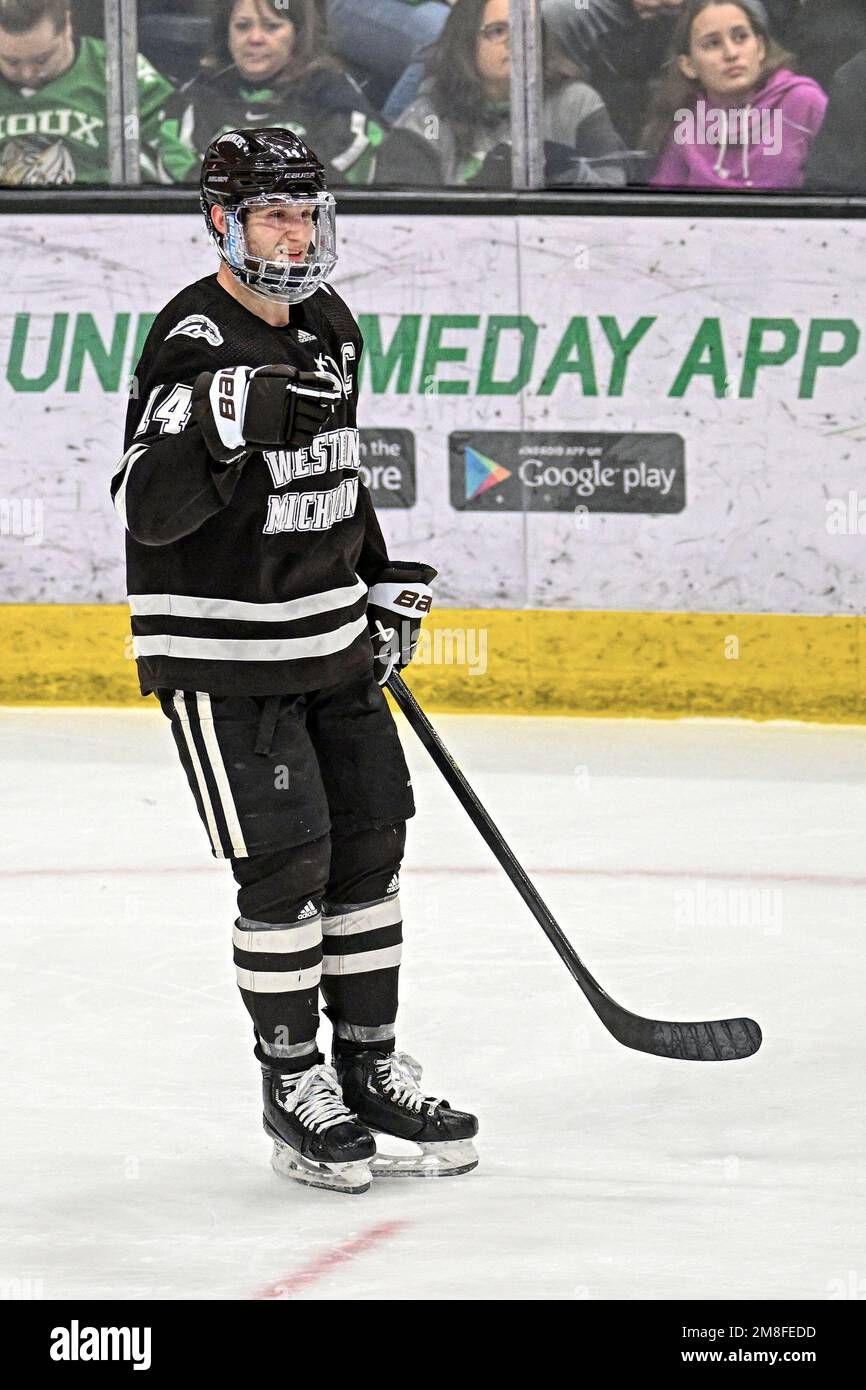 Michigan Wolverines at Western Michigan Broncos Mens Hockey