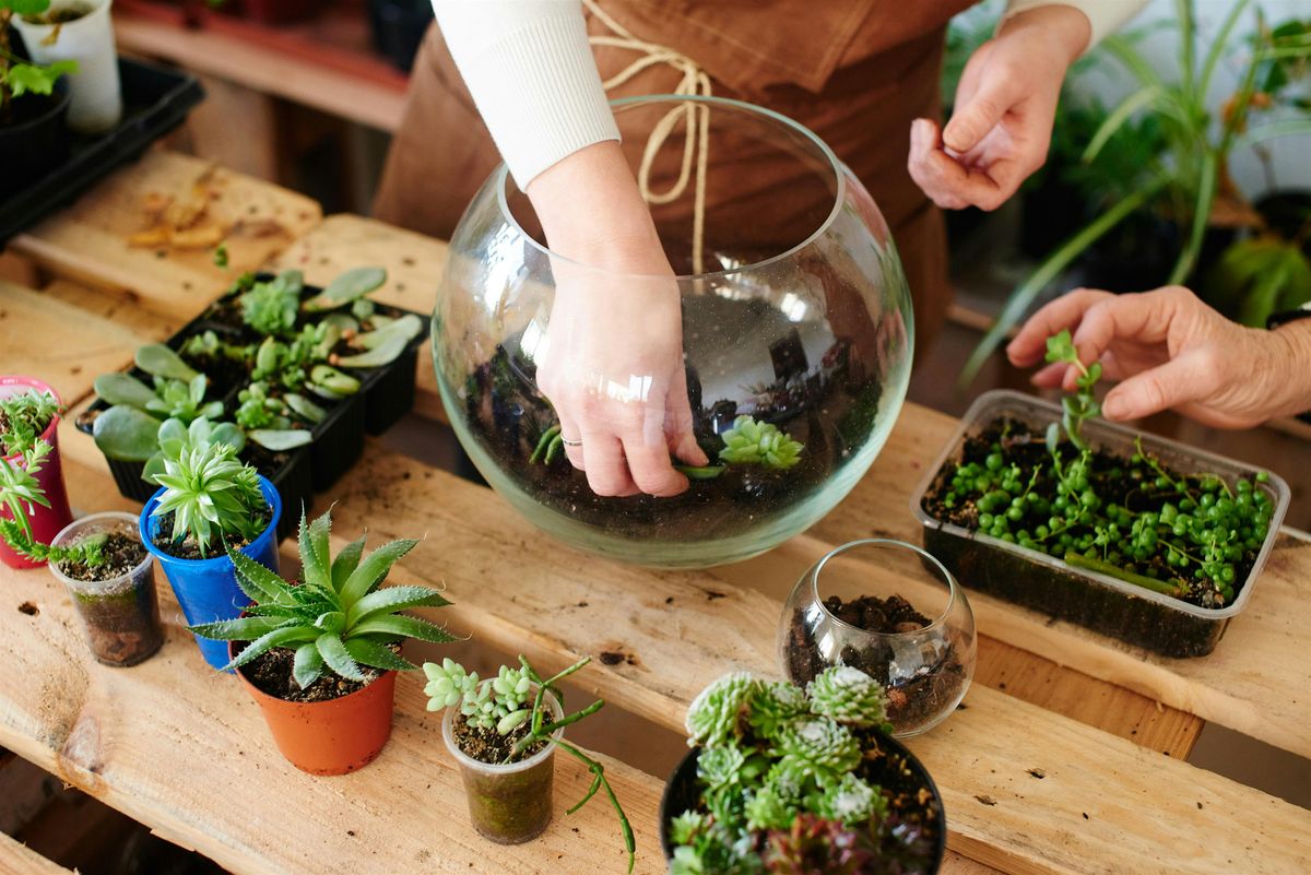Terrarium Workshop @ Bunk