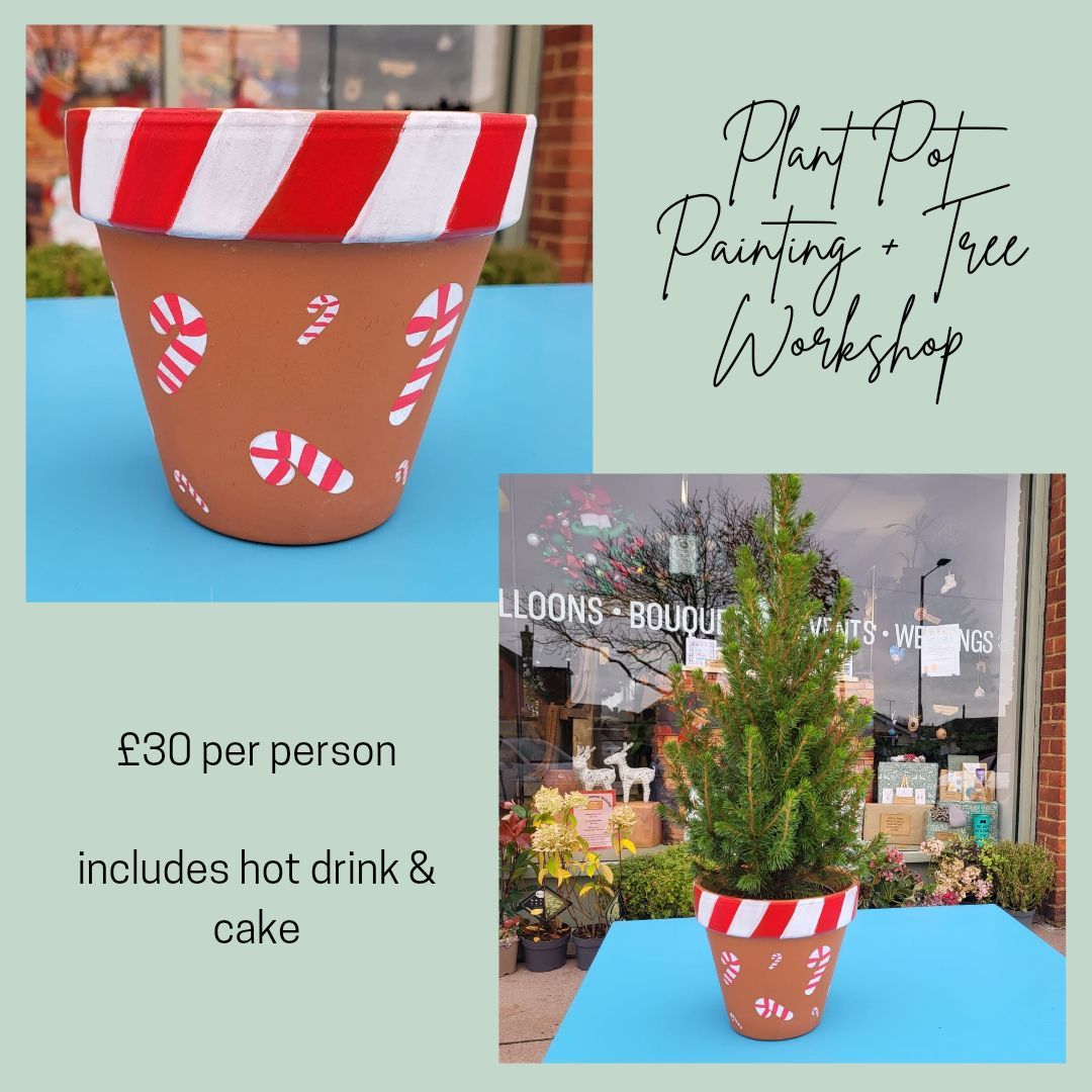 Christmas Pot Painting Workshop including tree