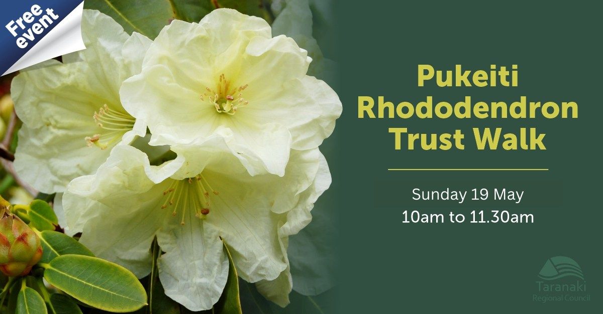 Guided walk with the Pukeiti Rhododendron Trust