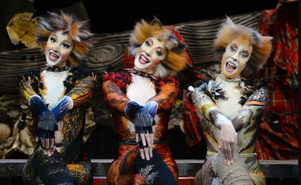 Cats at Seacoast Repertory Theatre