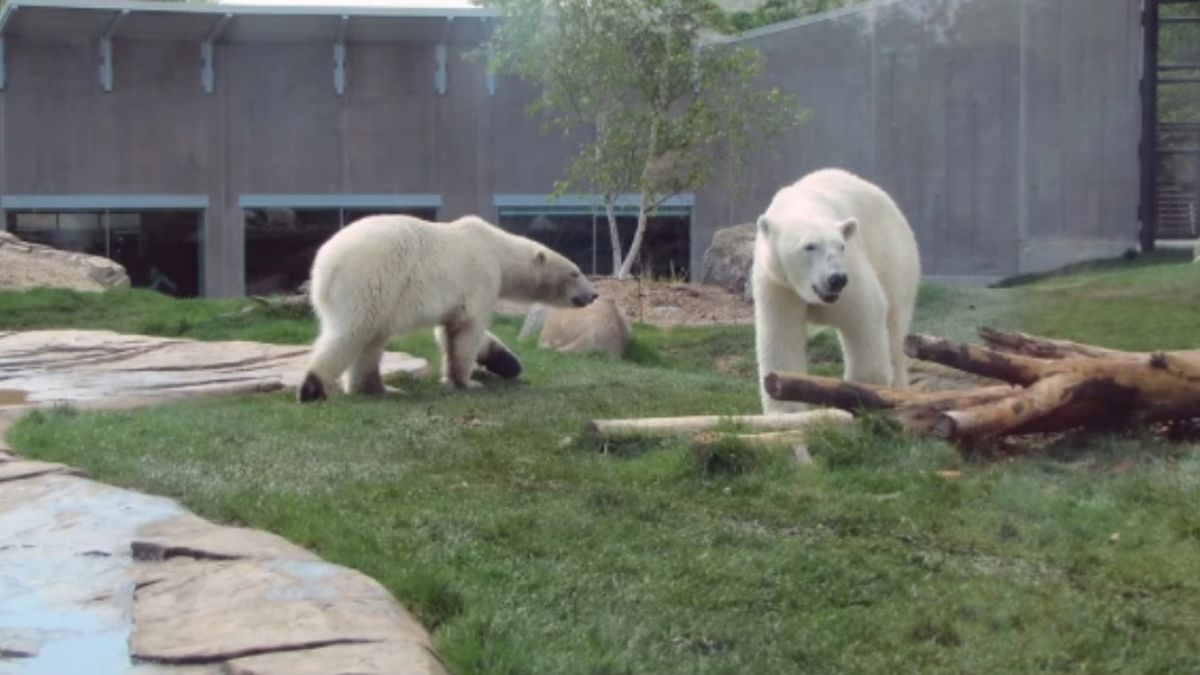 Sketch together at the Vilas Zoo, Bird House, Primates, and Reptiles