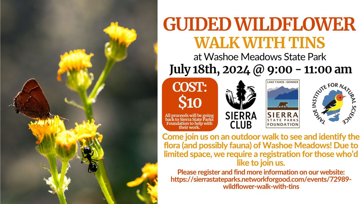 Wildflower Walk with TINS