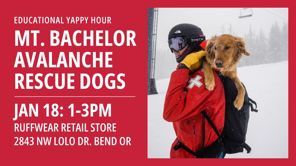 Educational Yappy Hour: Mt. Bachelor Avalanche Rescue Dogs!