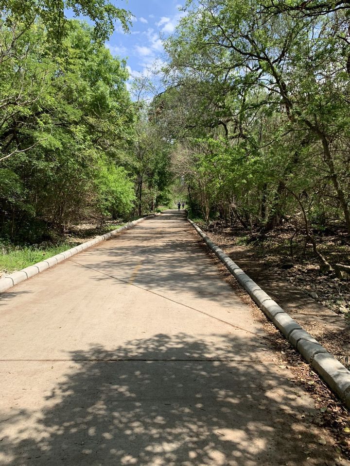 Friday Afternoon Hike - Walnut Creek Metro Park (North Austin)