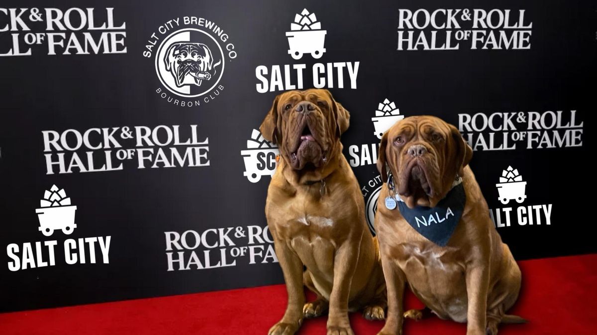 Red Carpet Rock n Roll NYE