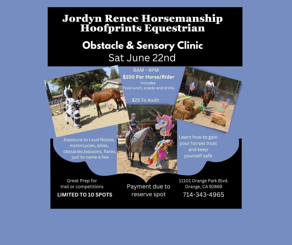 Jordyn Renee and Hoofprints Obstacle and Sensory Clinic