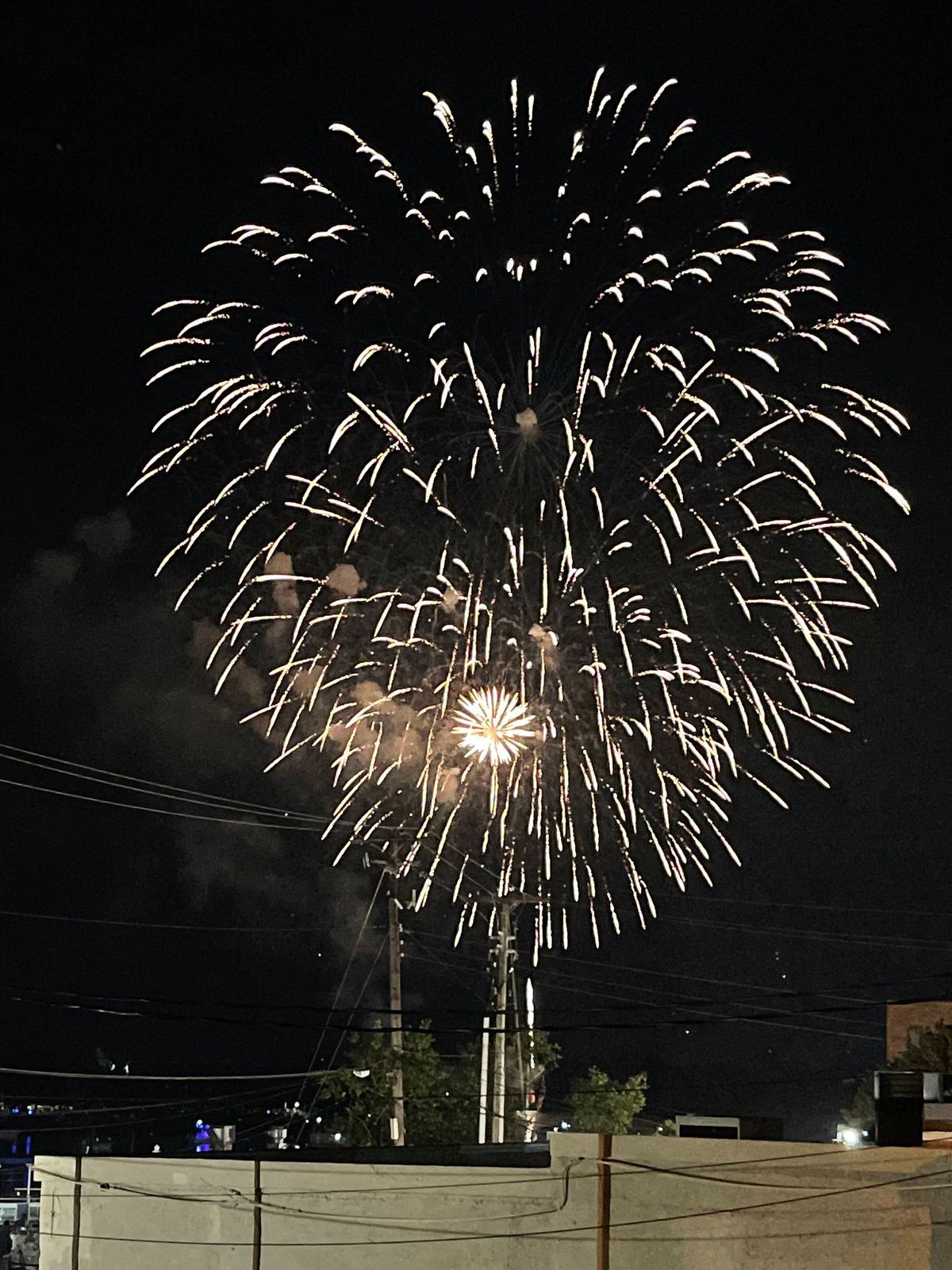 Fireworks & Fondue - July 4th!