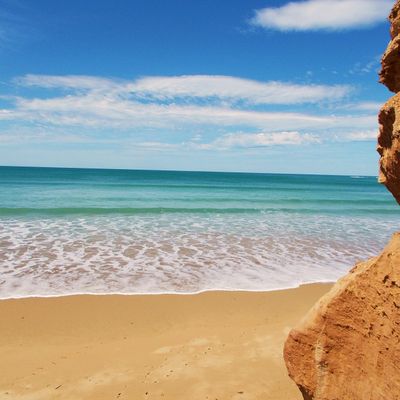 Road trips with The Dancing Voyager (Ron Singh)