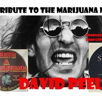 The David Peel Tribute