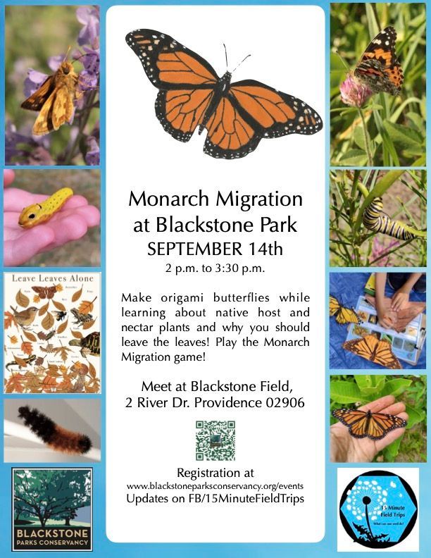 Monarch Migration at Blackstone Park